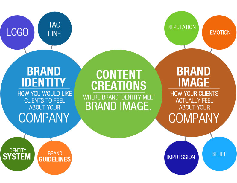 Brand_Identity_2-new